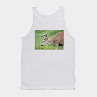 Black-tailed deer Tank Top